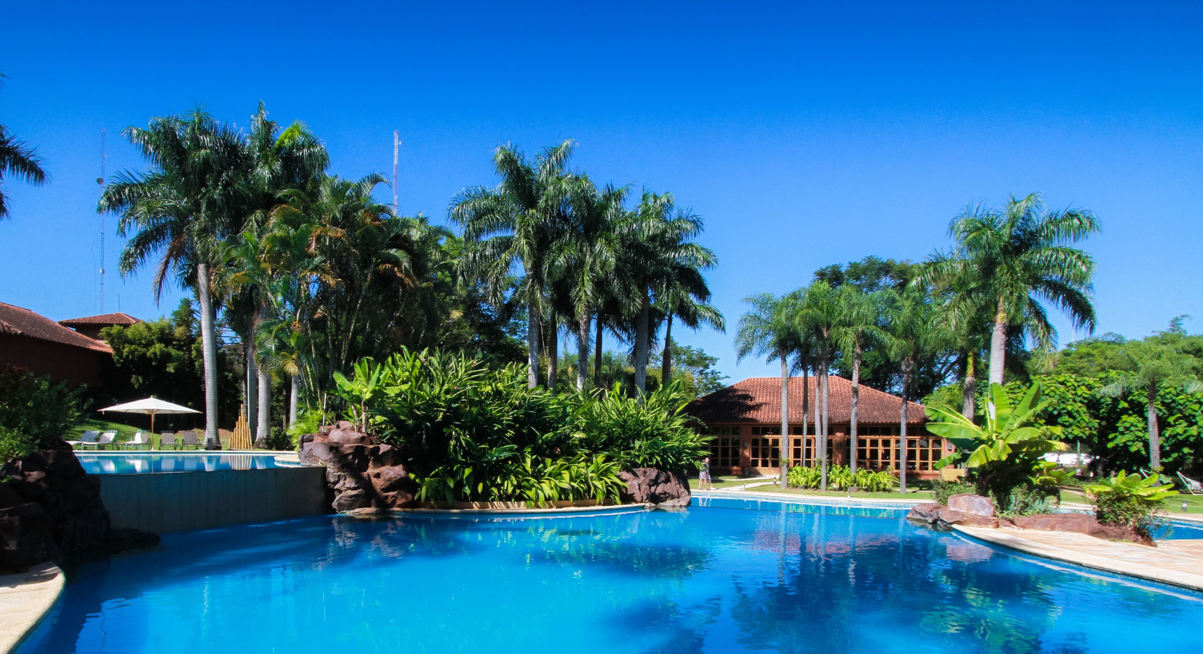 Una piscina con sillas de descanso y palmeras.