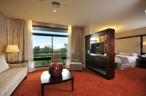 Executive Suite | Pemandangan dari bilik