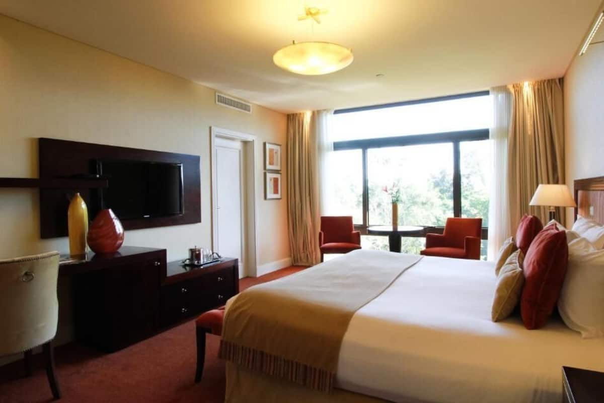Une chambre d’hôtel avec un grand lit, un téléviseur fixé au mur, un bureau avec une lampe et une fenêtre avec des rideaux.