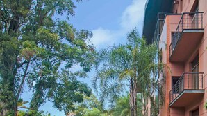 A serene courtyard with a reflective water feature, surrounded by lush greenery and modern buildings. - Iguazu Grand Resort Spa & Casino (Puerto Iguazú)
