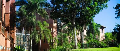 A building with a brick facade, surrounded by lush greenery and palm trees.