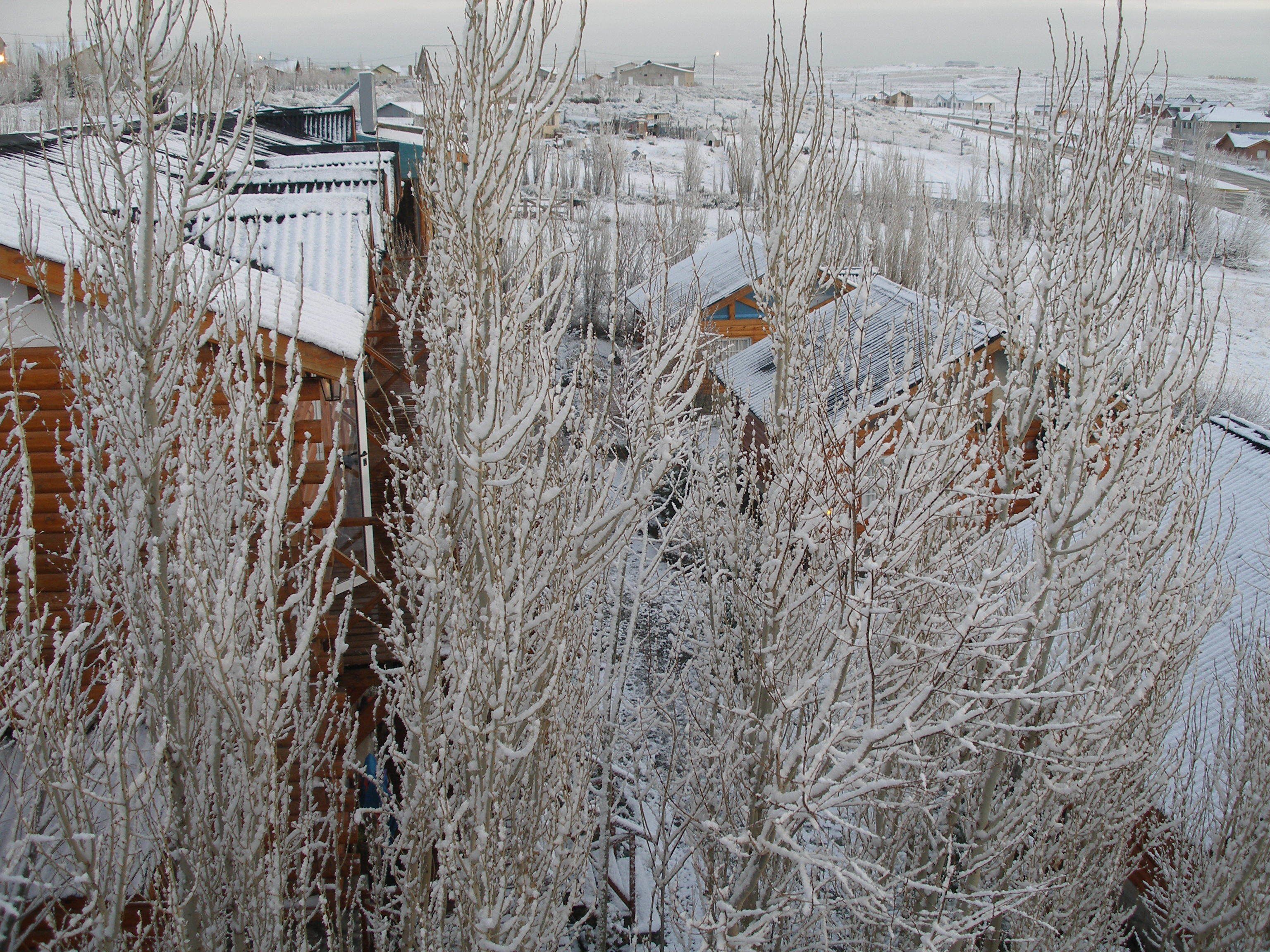 A snowy residential area with houses and bare trees.