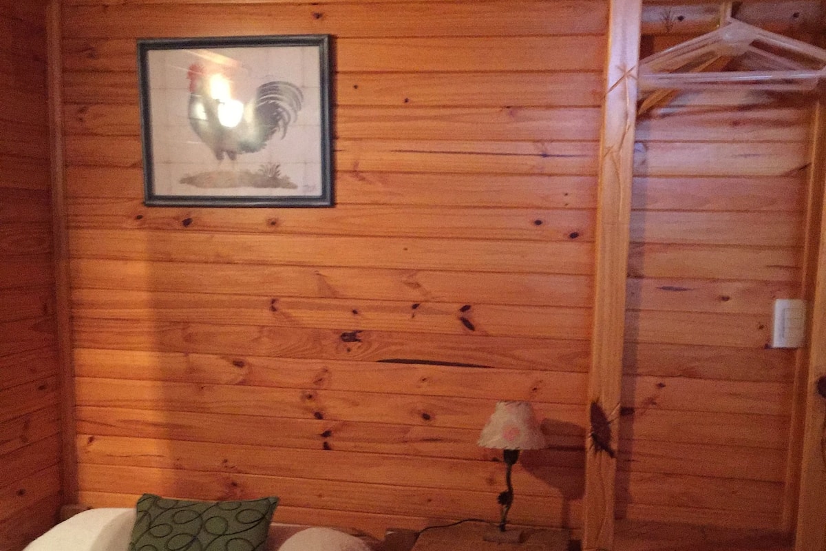 1 bedroom, pillowtop beds, in-room safe, individually decorated
