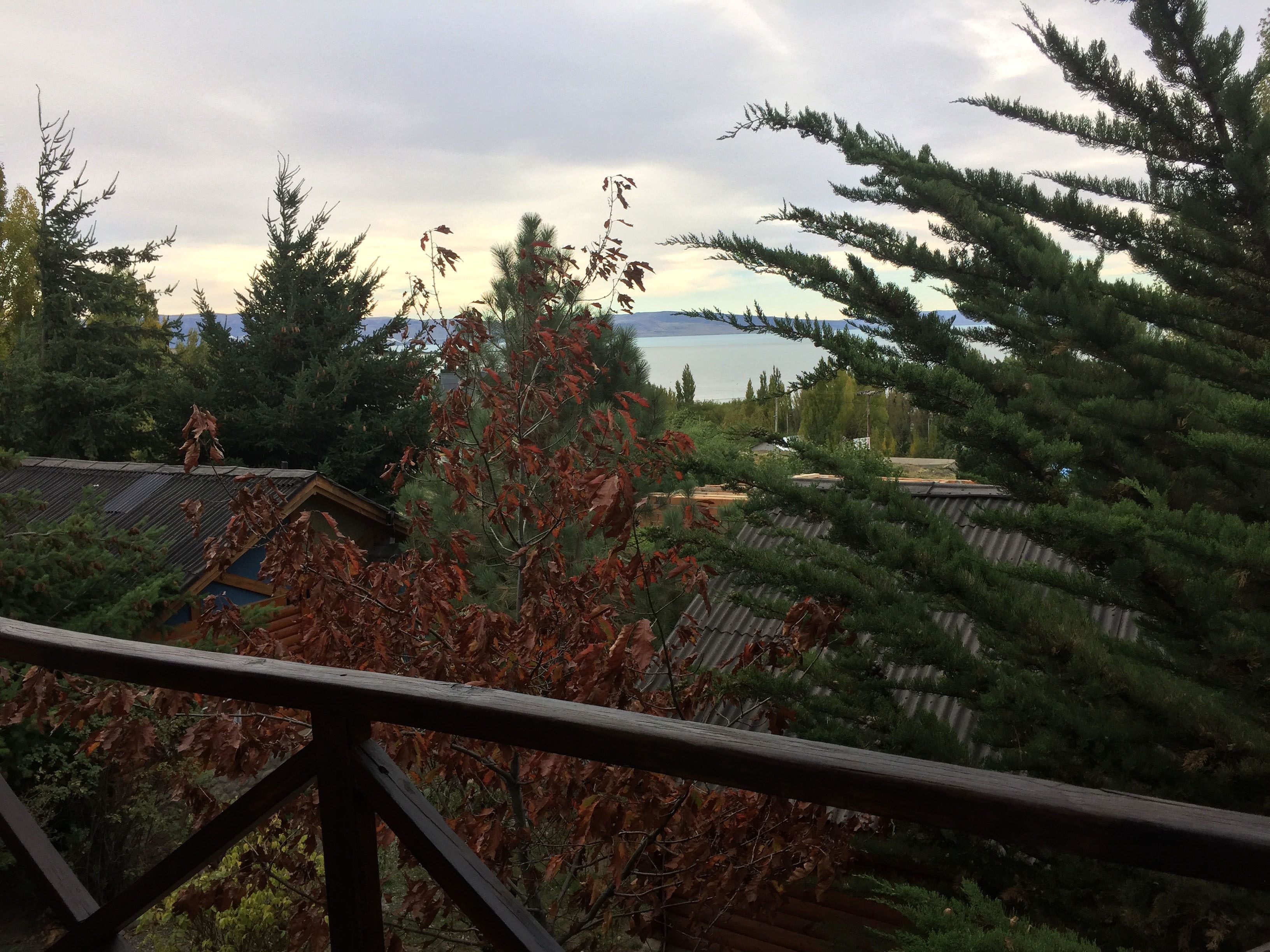 シャワー、レインフォールシャワー、バスアメニティ (無料)、ヘアドライヤー