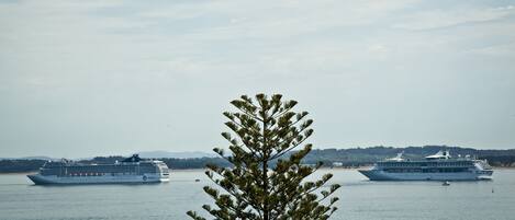 Two cruise ships on a calm body of water with a tree in the foreground.