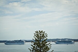 Dos cruceros en aguas tranquilas, con un árbol en primer plano.