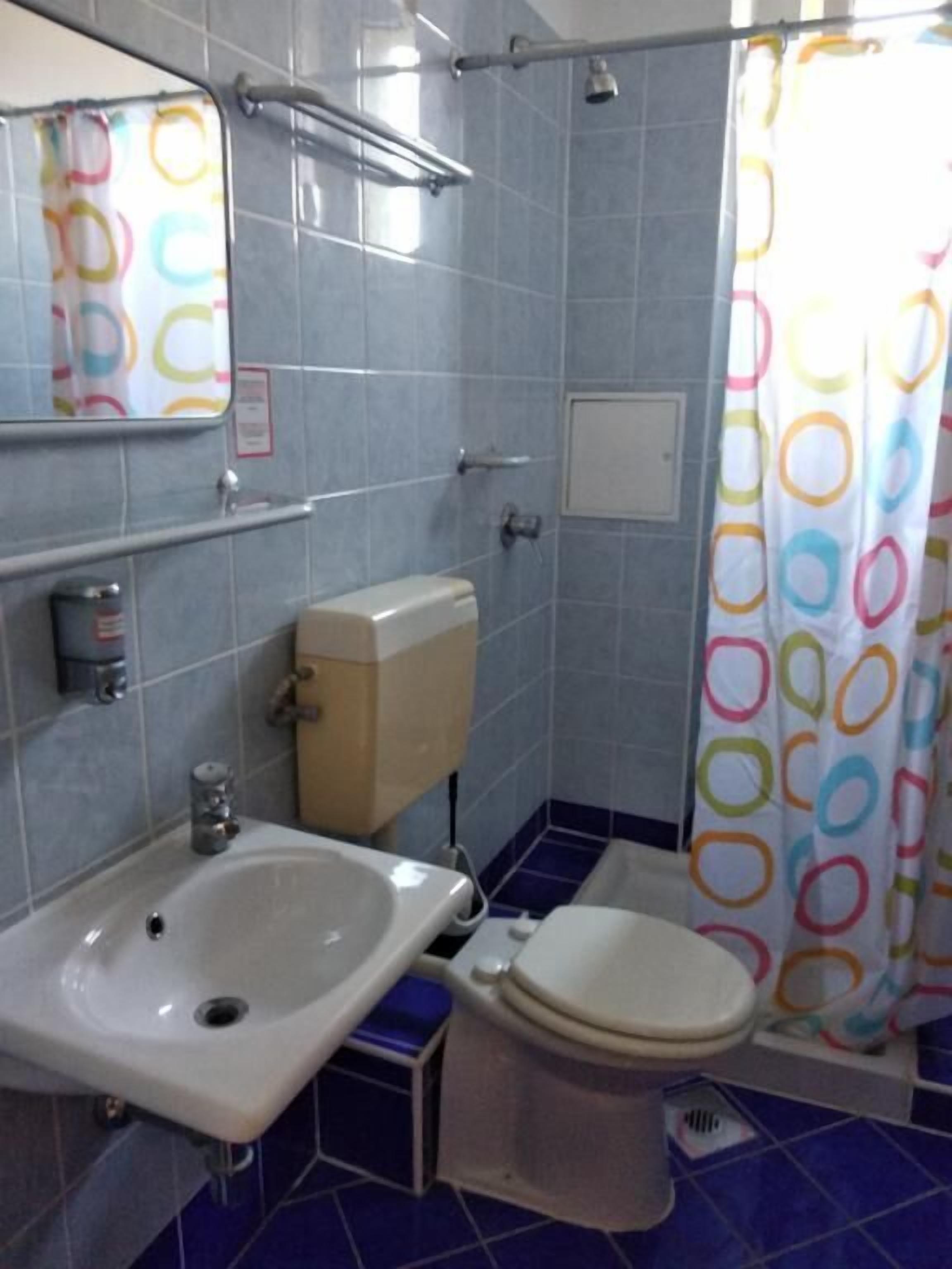 Une salle de bain avec un lavabo, des toilettes et une douche.