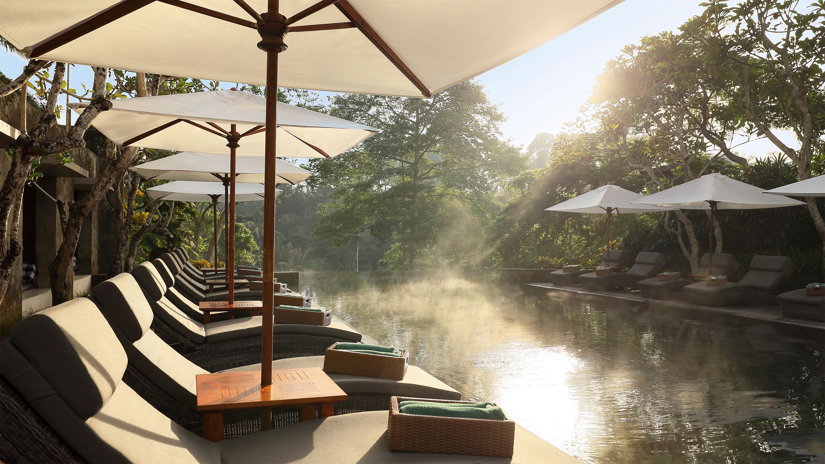 A serene poolside area with lounge chairs and umbrellas, surrounded by lush greenery.