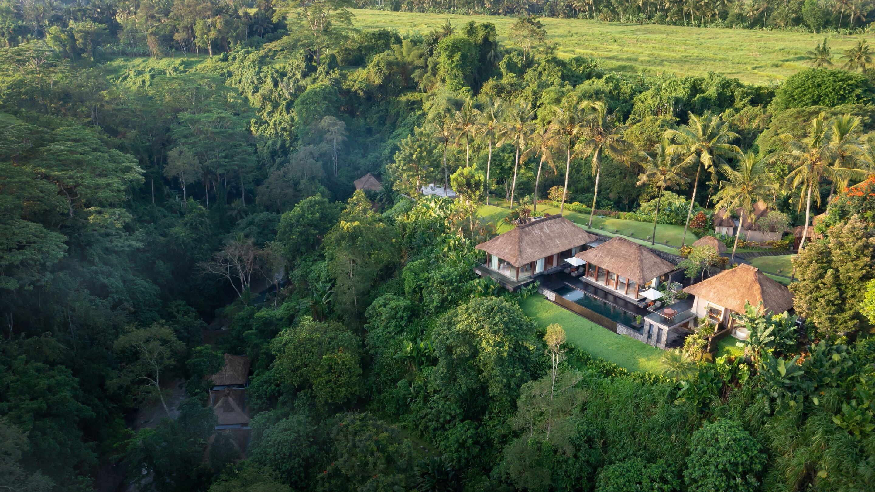 An aerial view of a tropical resort with thatched-roof villas, a swimming pool, and lush greenery.