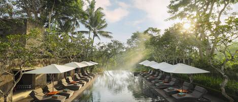 A serene pool area with lounge chairs and umbrellas, surrounded by lush greenery and a stone wall.