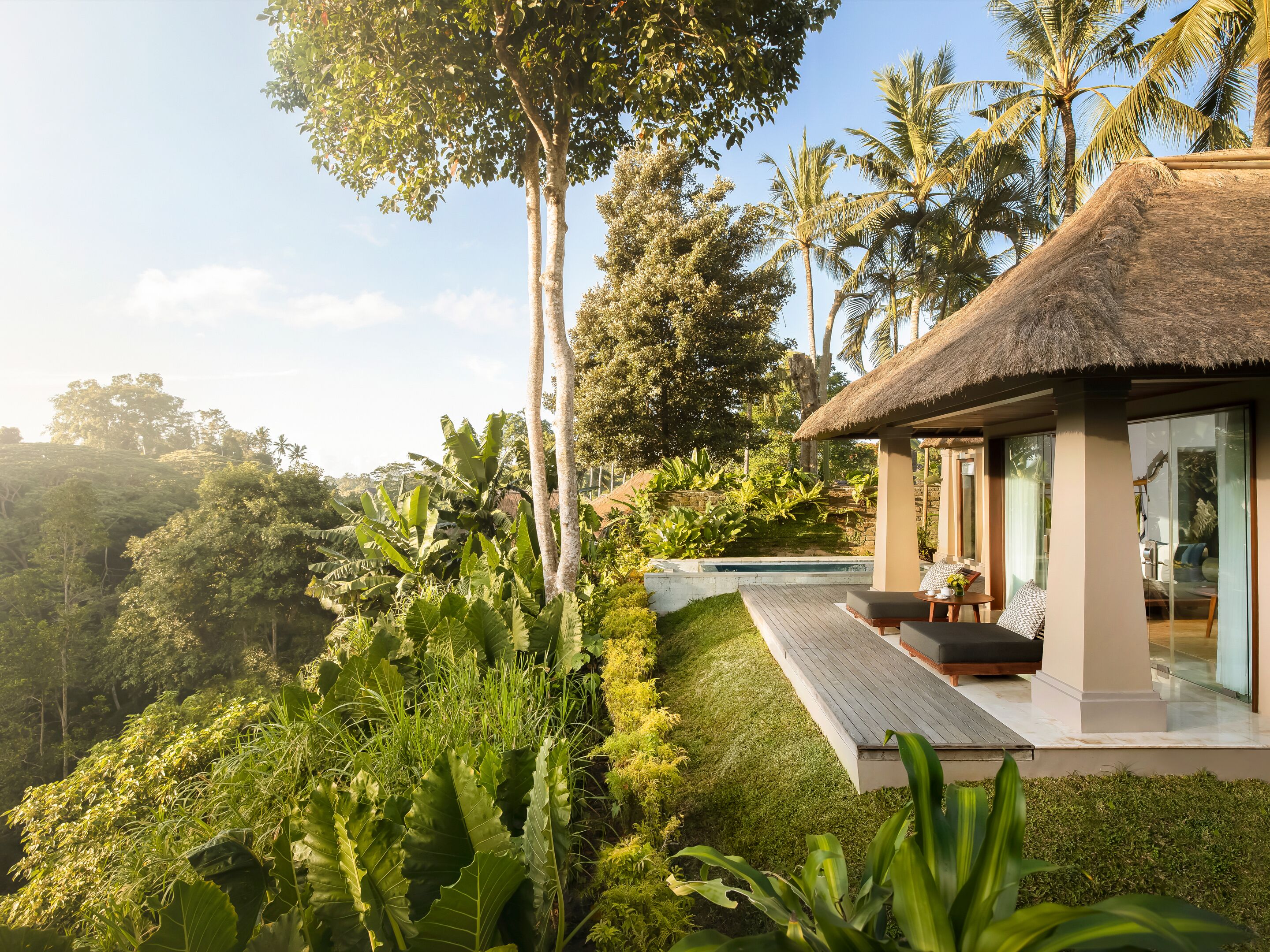 A modern villa with a thatched roof, a pool, and lush greenery surrounding it.