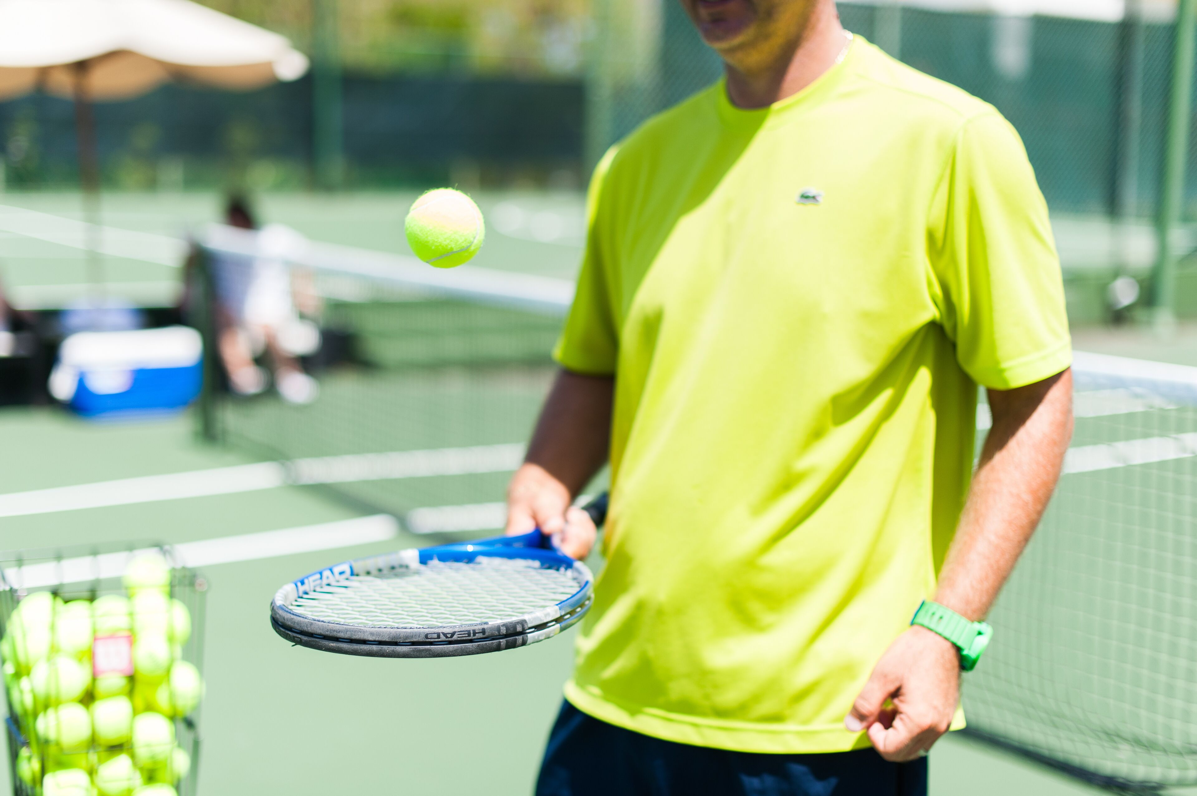 A tennis court with a net, a tennis ball, and a racket.