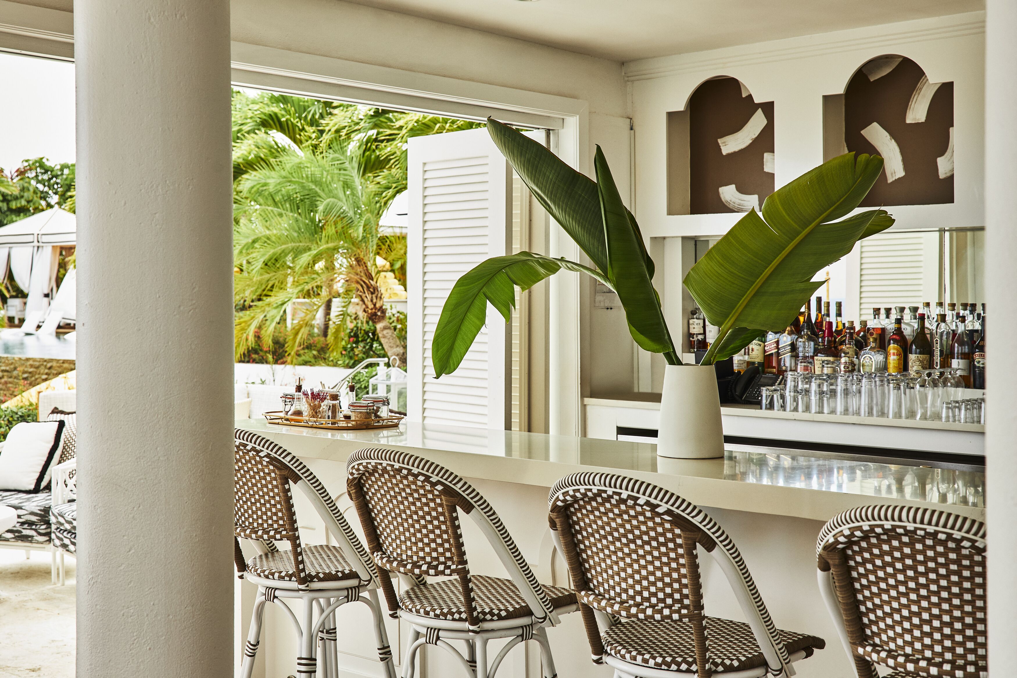 A bar area with wicker chairs, a large potted plant, and a bar stocked with bottles.
