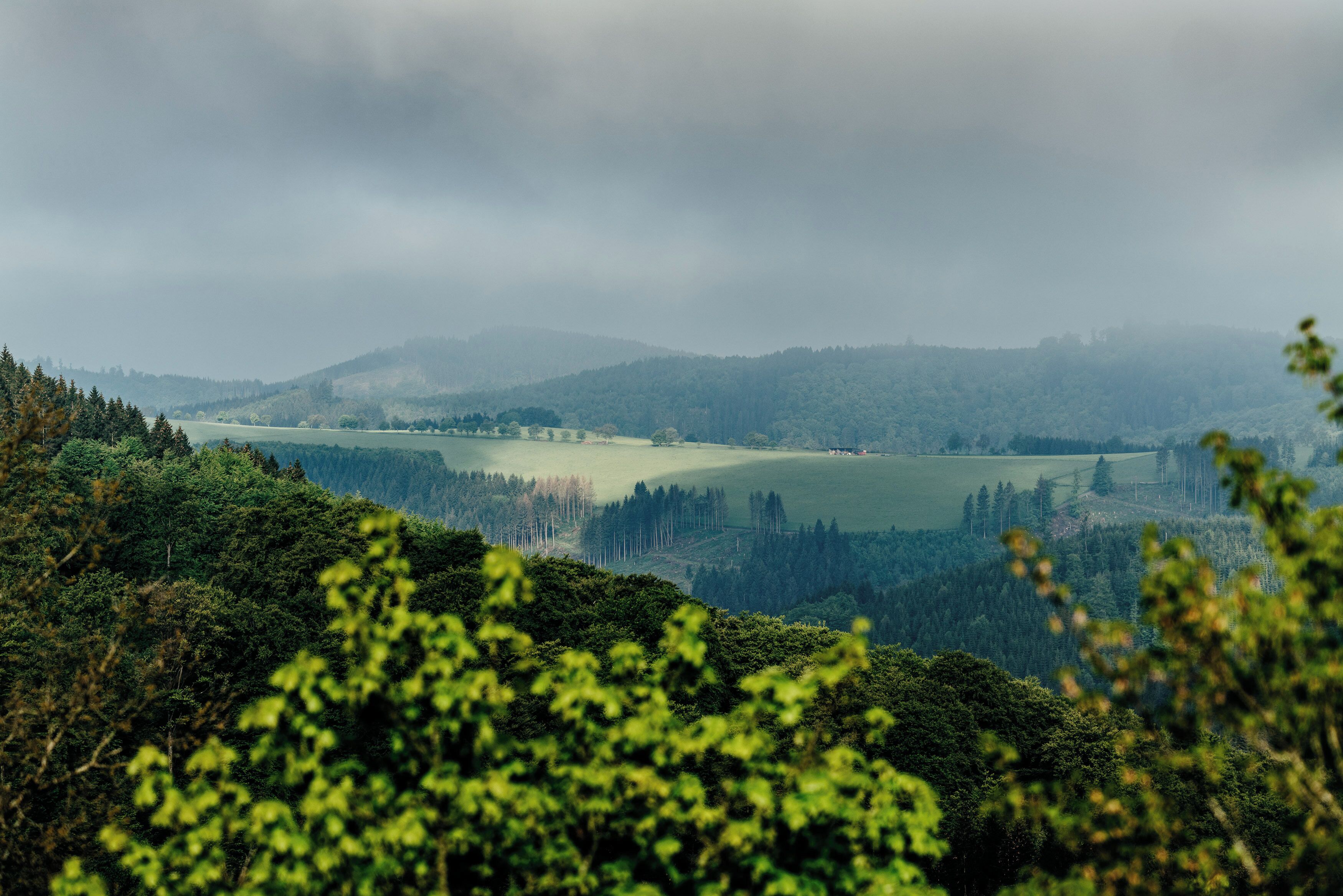 Pemandangan dari properti