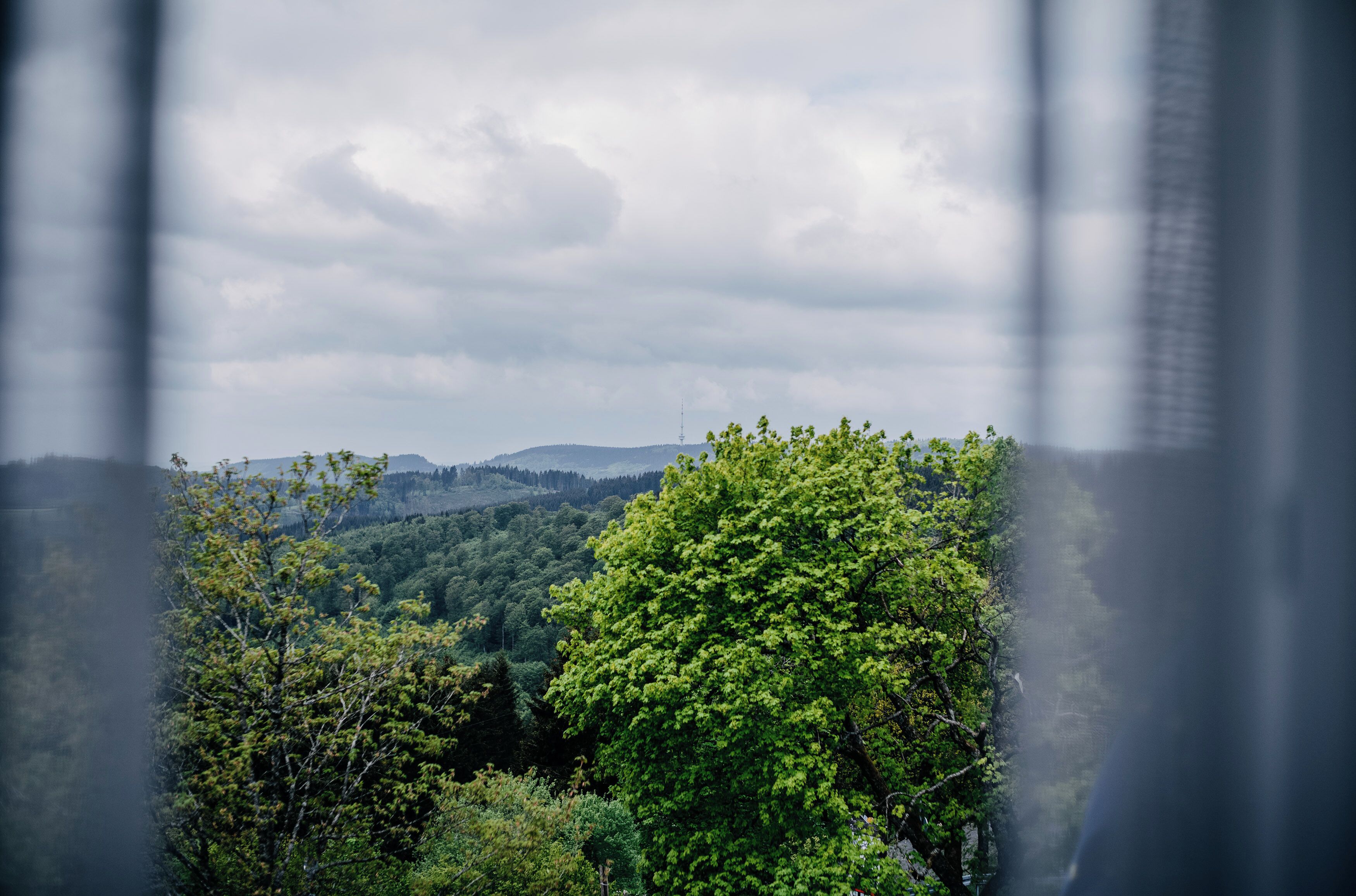 A view through a window with a forested landscape, a distant hill, and a tower.
