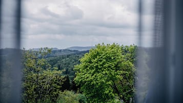 A view through a window with a forested landscape, a distant hill, and a tower.