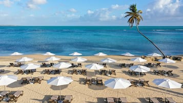 Une plage bordée de rangées de chaises longues et de parasols, un palmier et l’océan en arrière-plan.