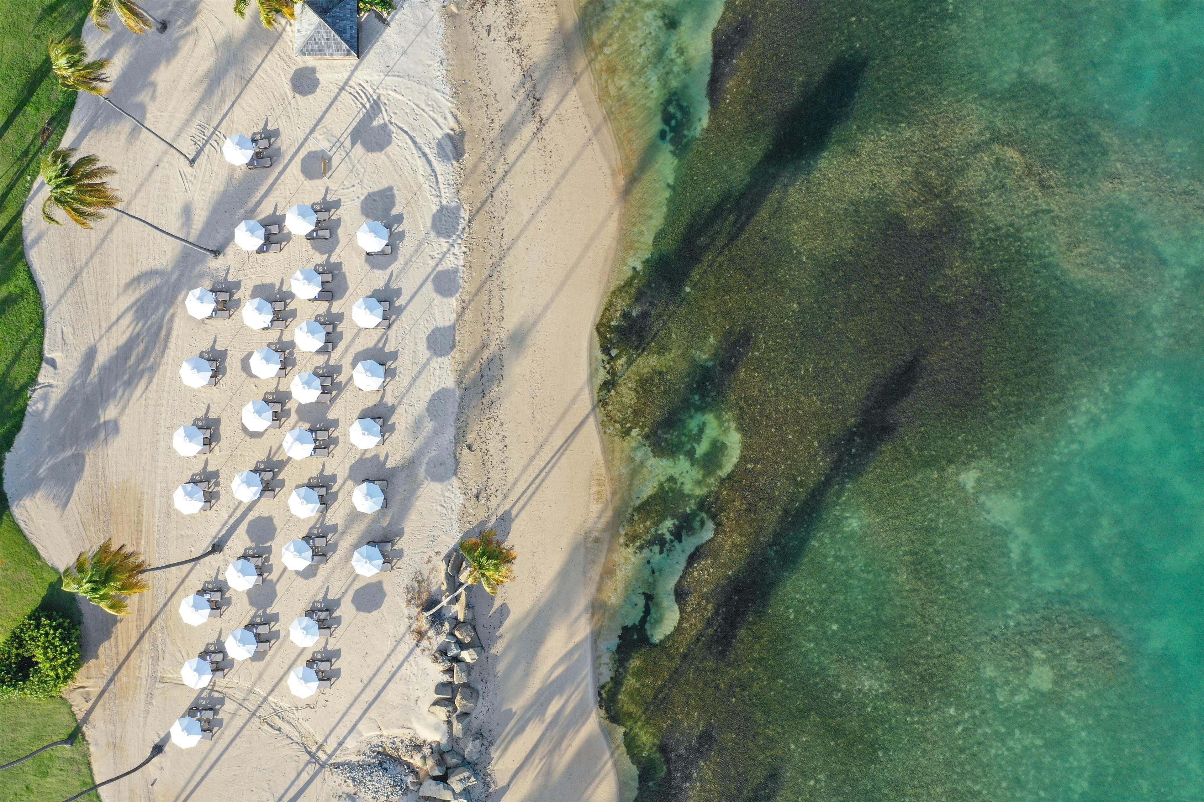 An aerial view of a beach with rows of sun loungers and umbrellas, a clear shallow water area, and palm trees.