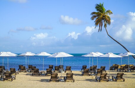 Hyatt Regency Grand Reserve Puerto Rico - Image 80