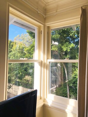 Standard Suite | View from room