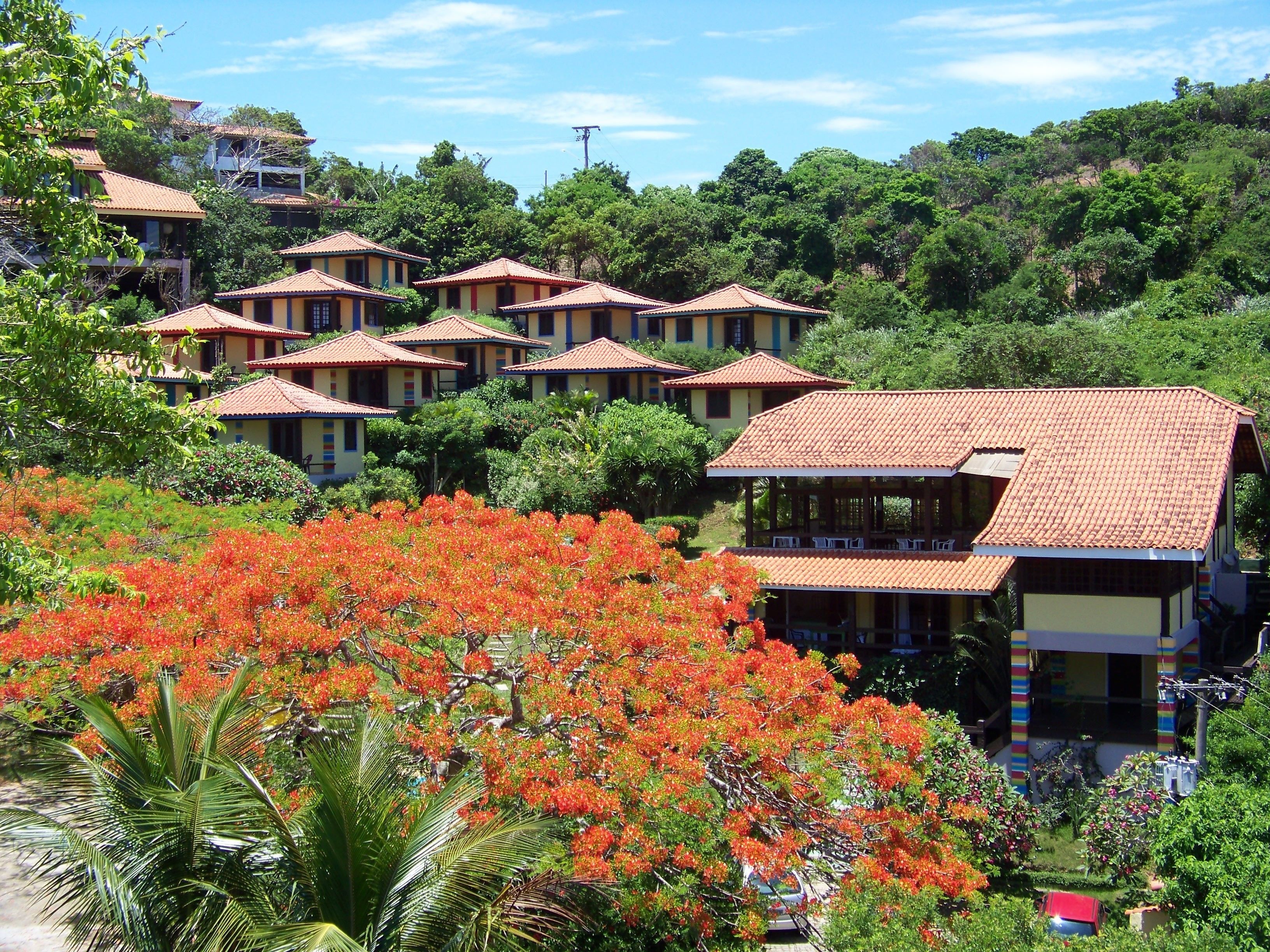 Cảnh từ trên cao