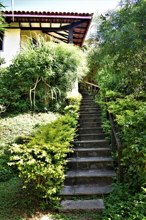 Jardin