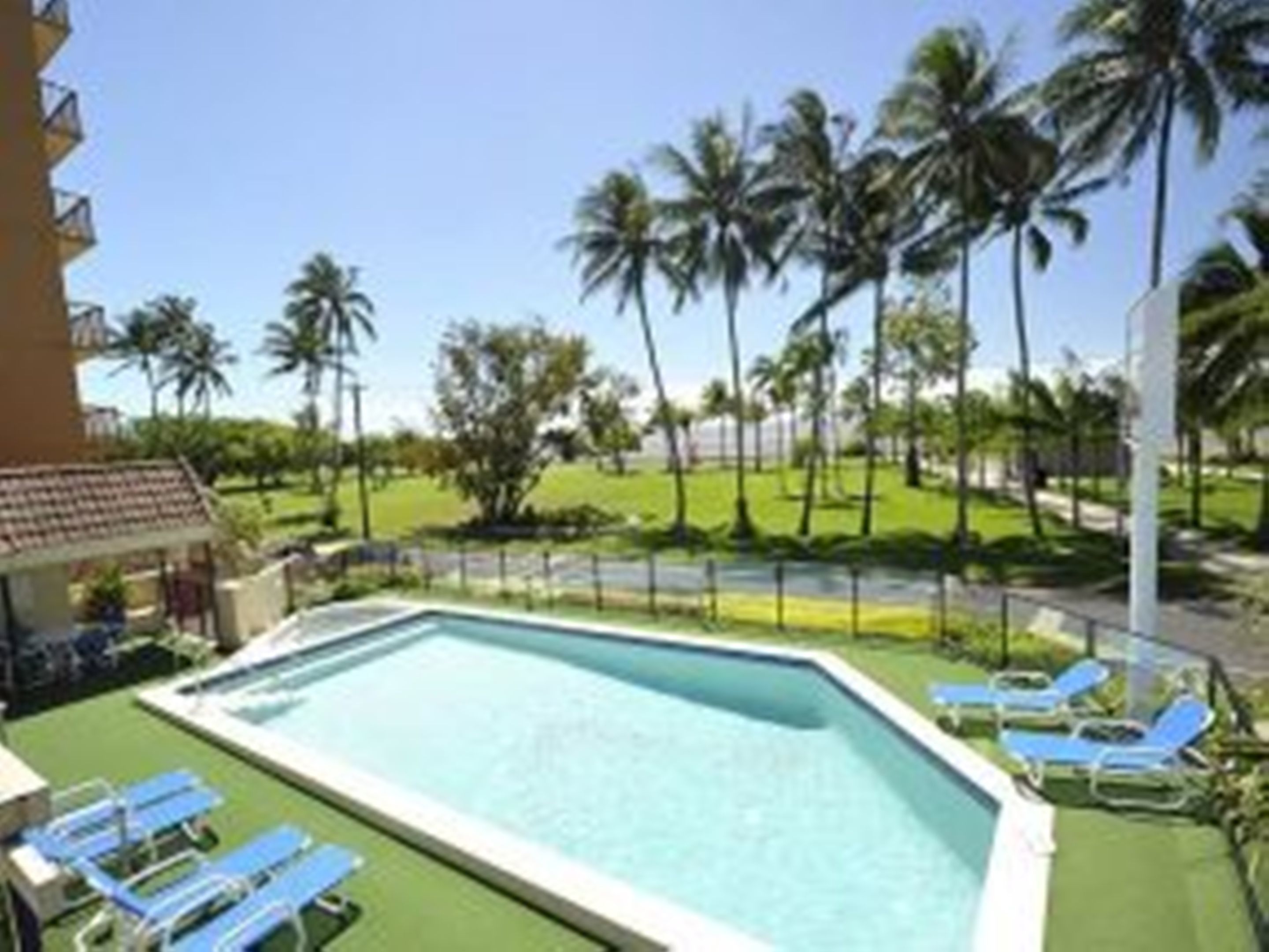 Una piscina con sillas reclinables azules, rodeada de palmeras y un cielo despejado.