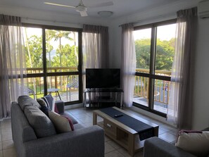 42-inch flat-screen TV with satellite channels, TV