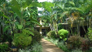 A pathway leading to a building surrounded by lush tropical vegetation. - Bay Village Tropical Retreat (Cairns North)