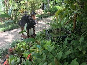 Vườn