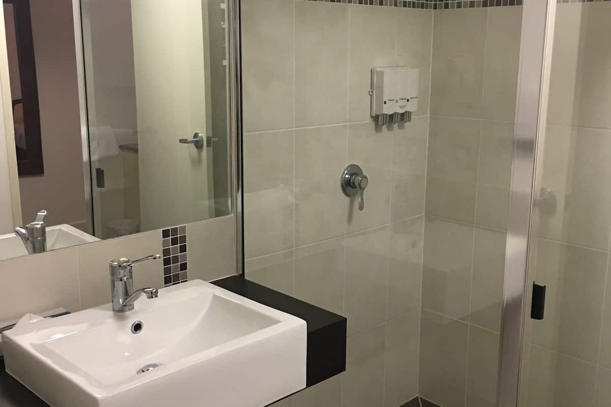 shower, free toiletries, hair dryer, towels