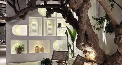 Apollon Boutique Hotel
