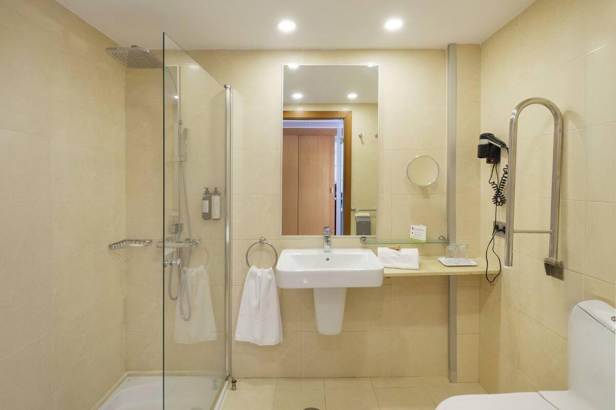 shower, free toiletries, hair dryer, towels