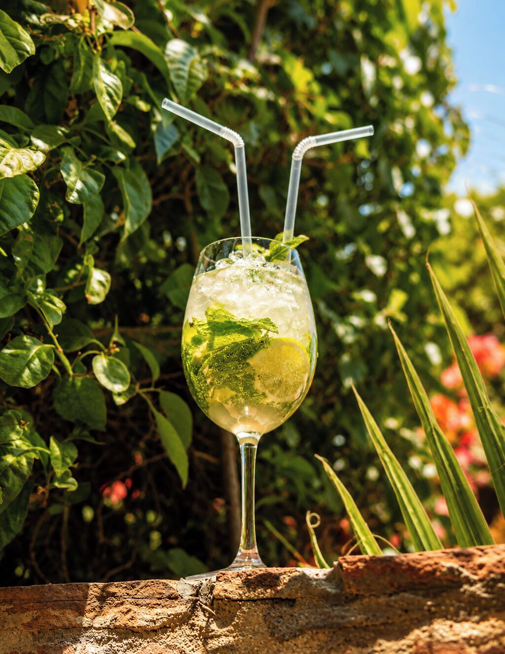 Et glas med en drik og sugerør, placeret på en stenoverflade med grøn vegetation i baggrunden.