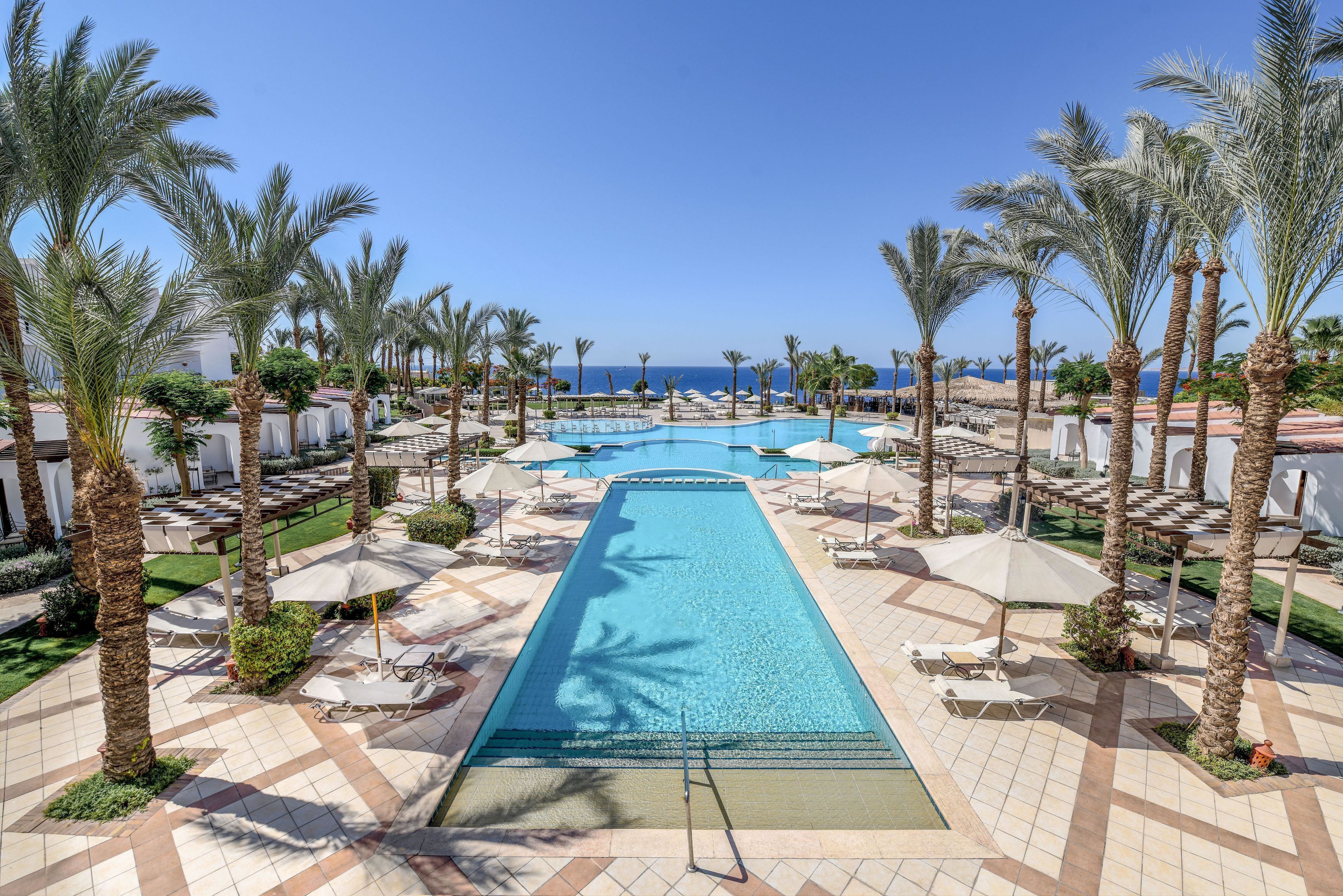 A swimming pool with lounge chairs and umbrellas, surrounded by palm trees and a view of the sea.