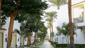المنطقة المحيطة بالمنشأة