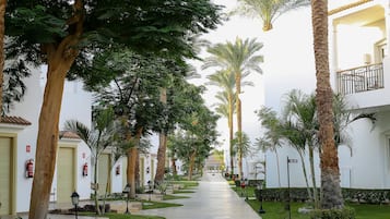 Khuôn viên nơi lưu trú