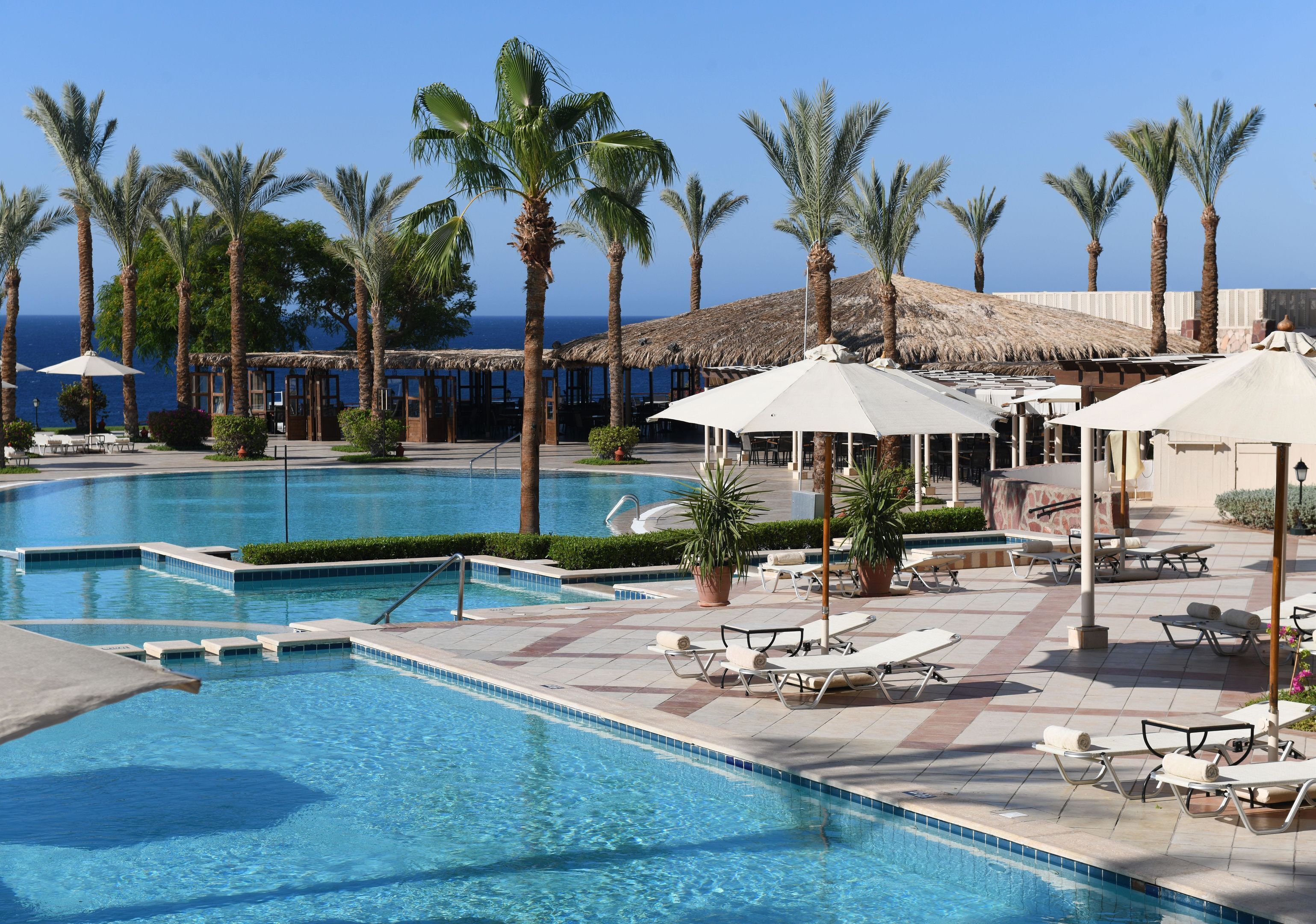 A swimming pool with lounge chairs and umbrellas, surrounded by palm trees and a view of the sea.