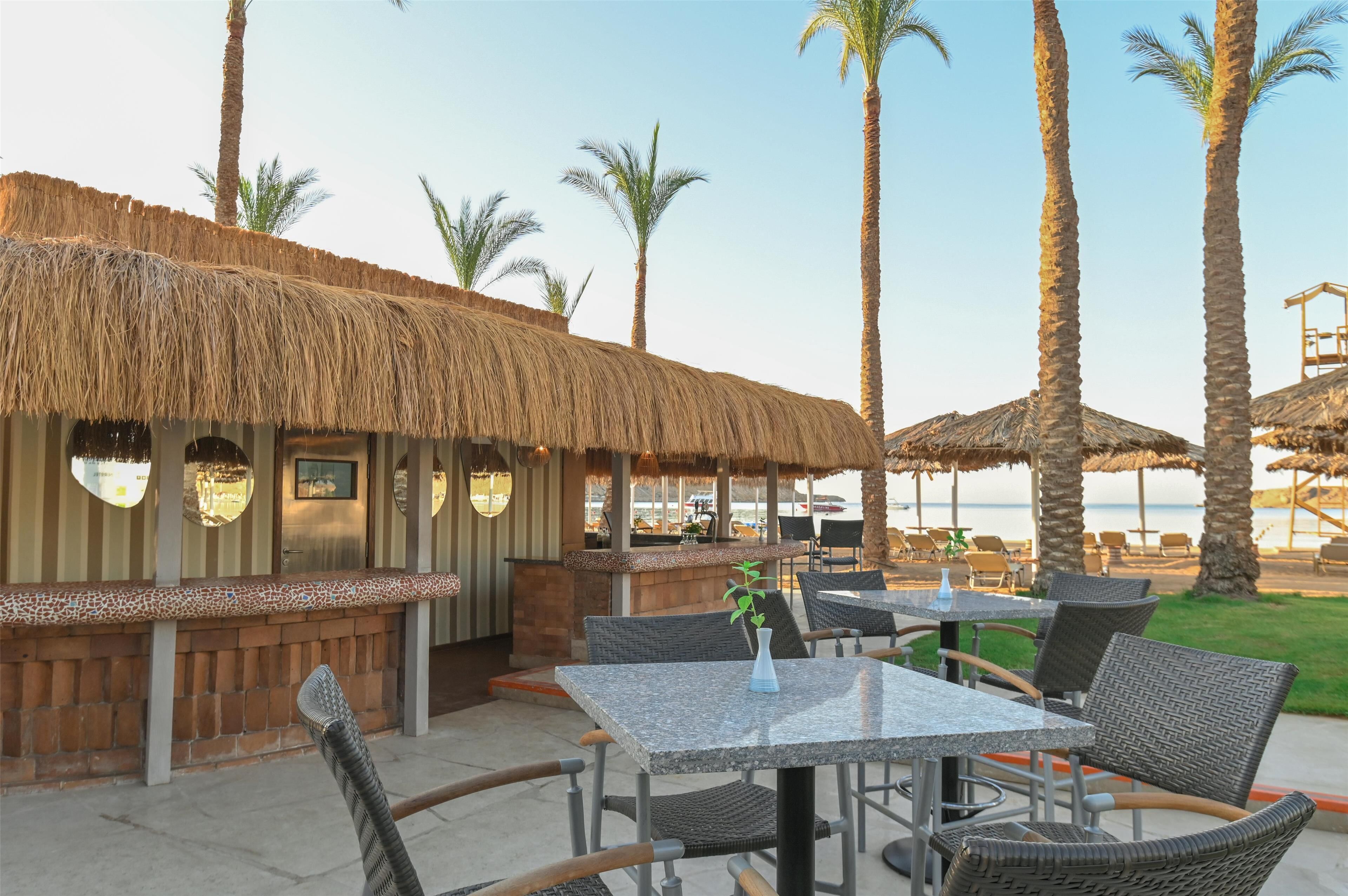 5 bares, bar junto a la piscina, bar en la playa
