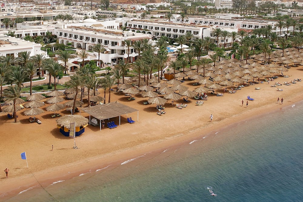 JAZ Elite Palace – Adults Friendly 16 Years Plus