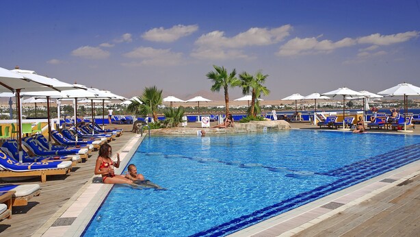 Piscina con sillas de descanso y sombrillas, rodeada de palmeras y un cielo despejado.