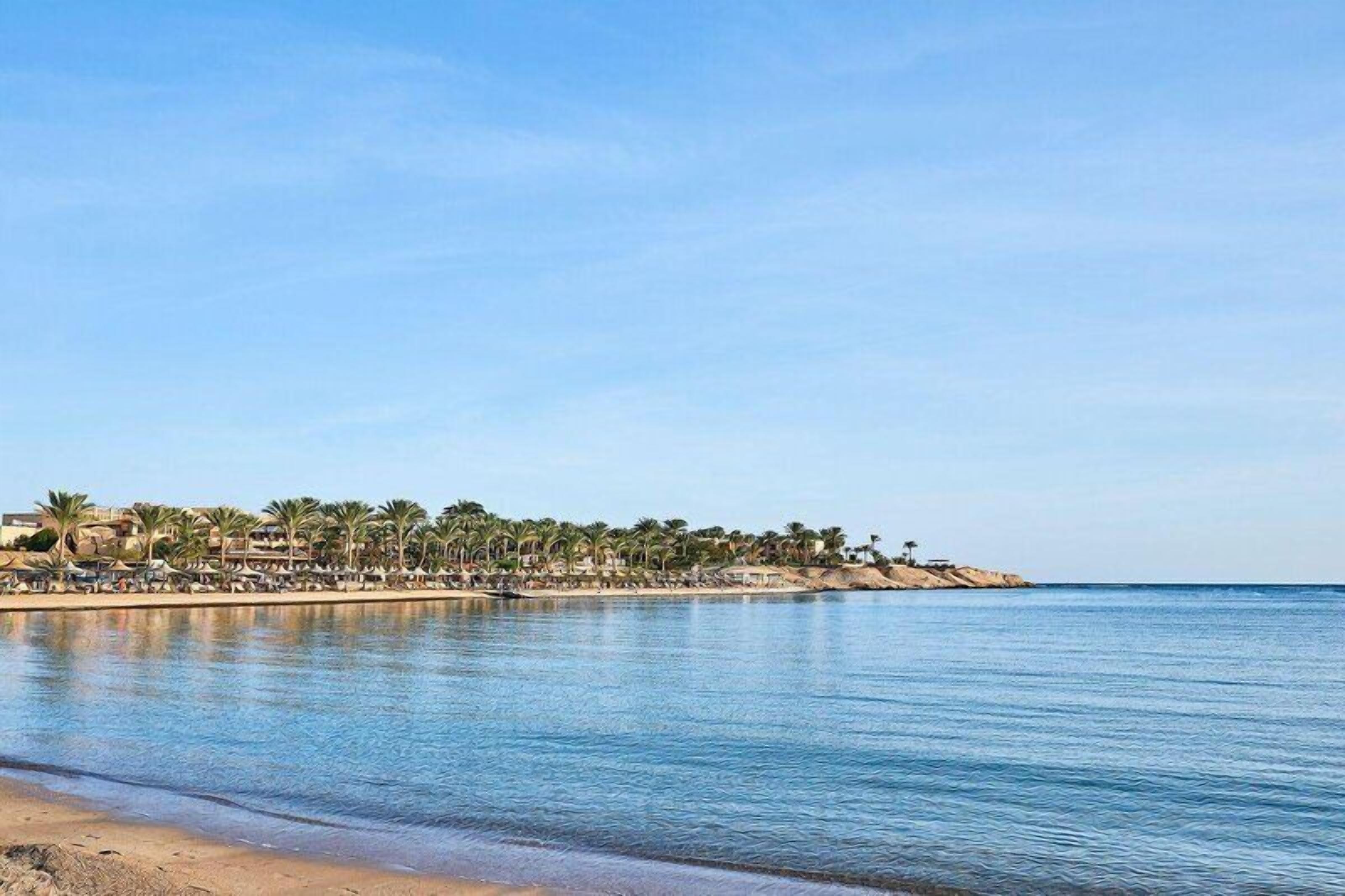 Private beach, beach towels, beach volleyball, beach bar