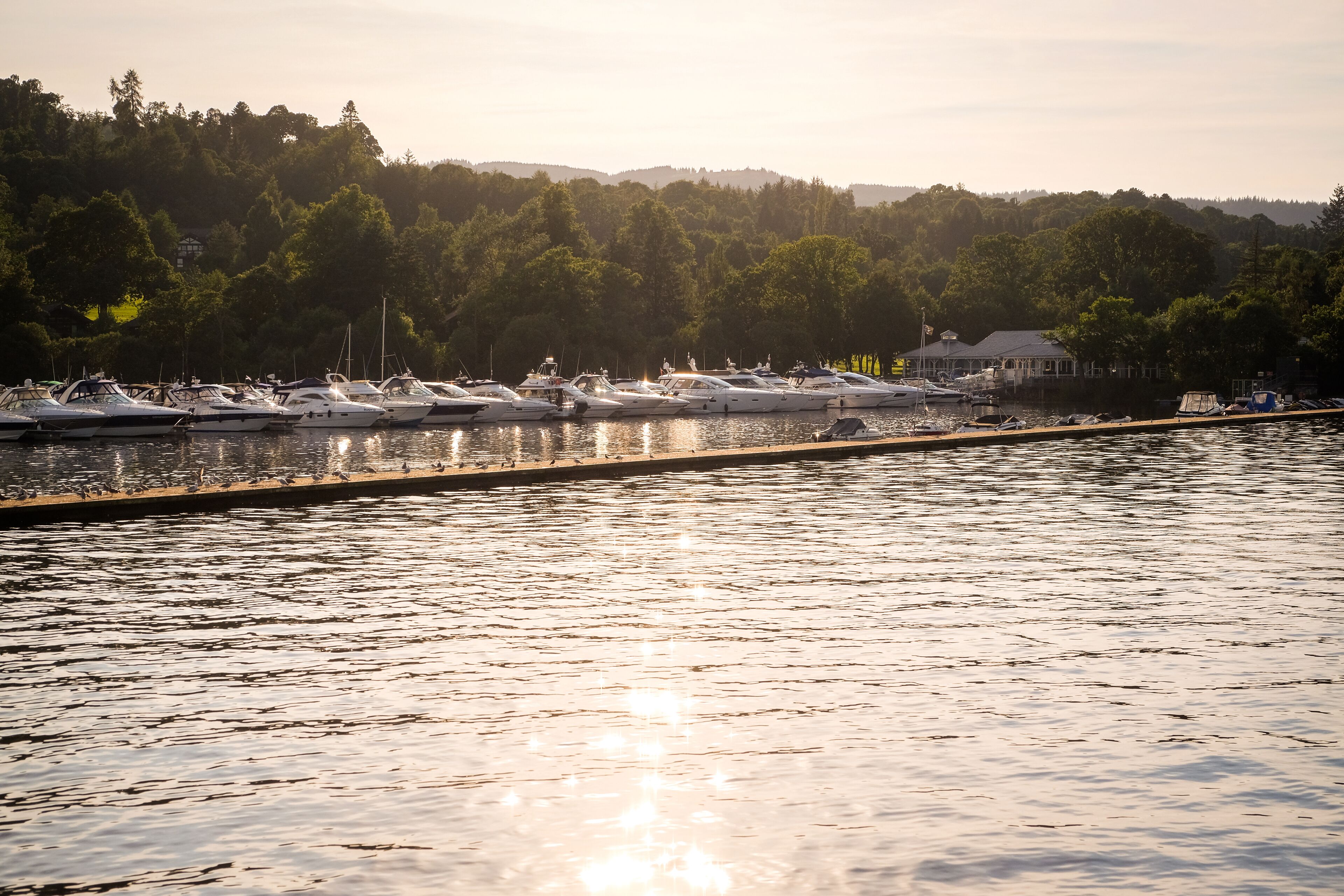 A marina with multiple boats docked along a wooden pier, surrounded by dense forest and hills in the background.
