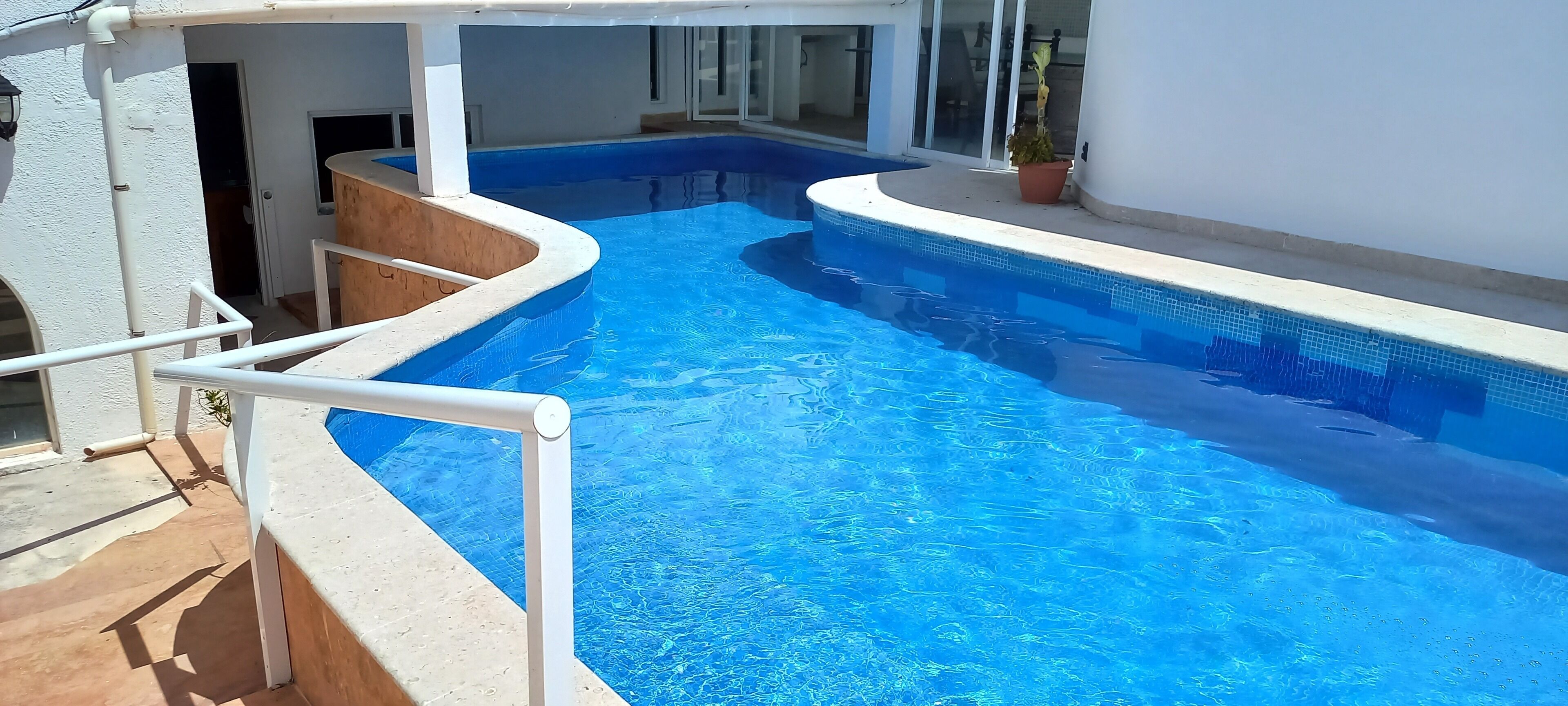 A swimming pool with a curved edge, a white railing, and a potted plant beside it.