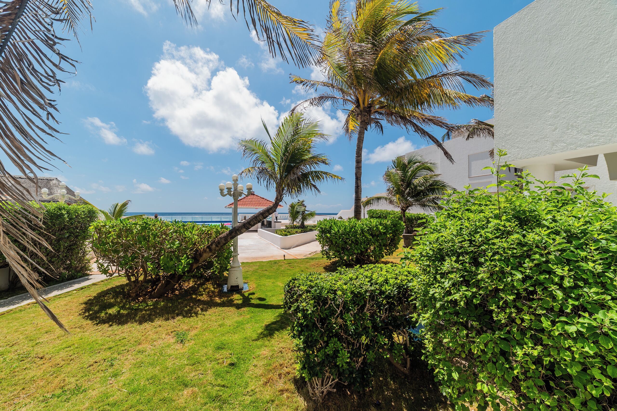 A well-maintained garden with palm trees and shrubs, a pathway leading to a building, and a clear view of the ocean.
