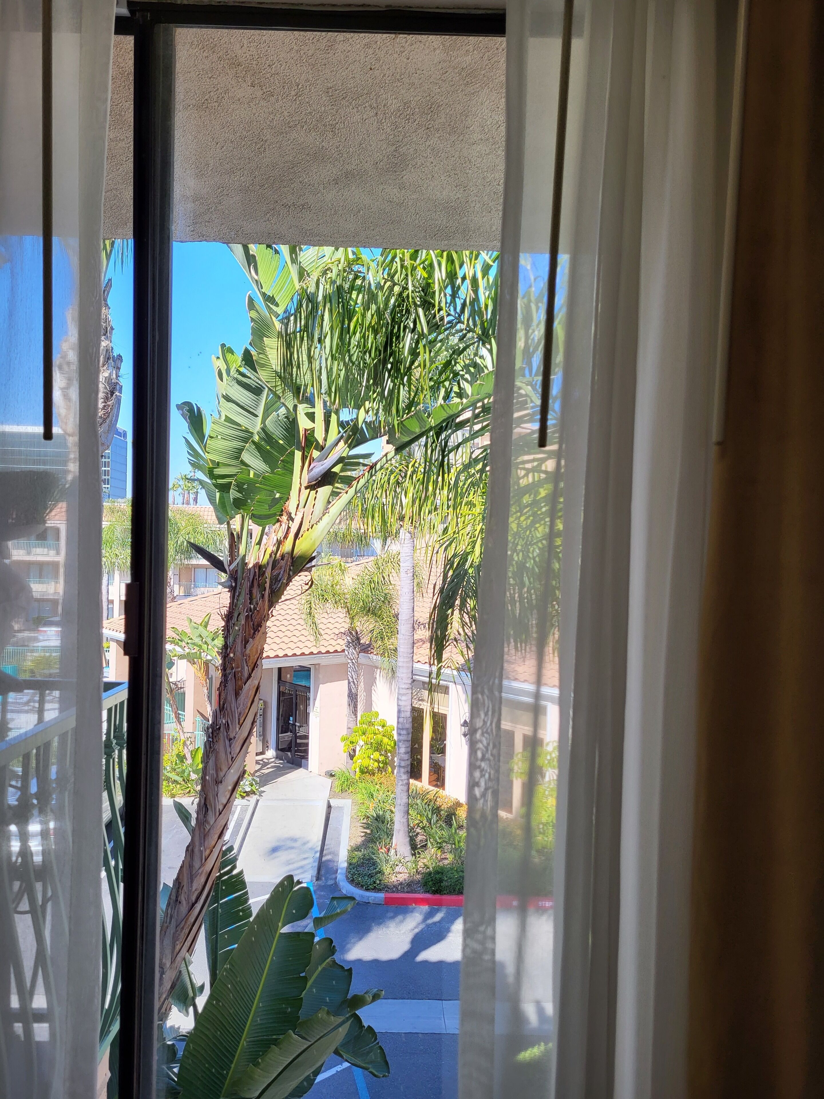 Vista desde la habitación