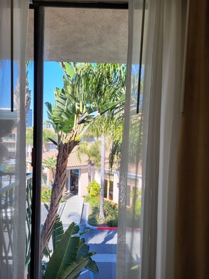 Vista desde la habitación