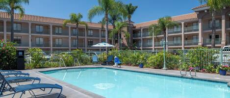 A hotel pool area with a clear blue pool, lounge chairs, and a building with balconies in the background.