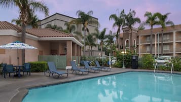 A swimming pool with lounge chairs and umbrellas, surrounded by palm trees and hotel buildings.