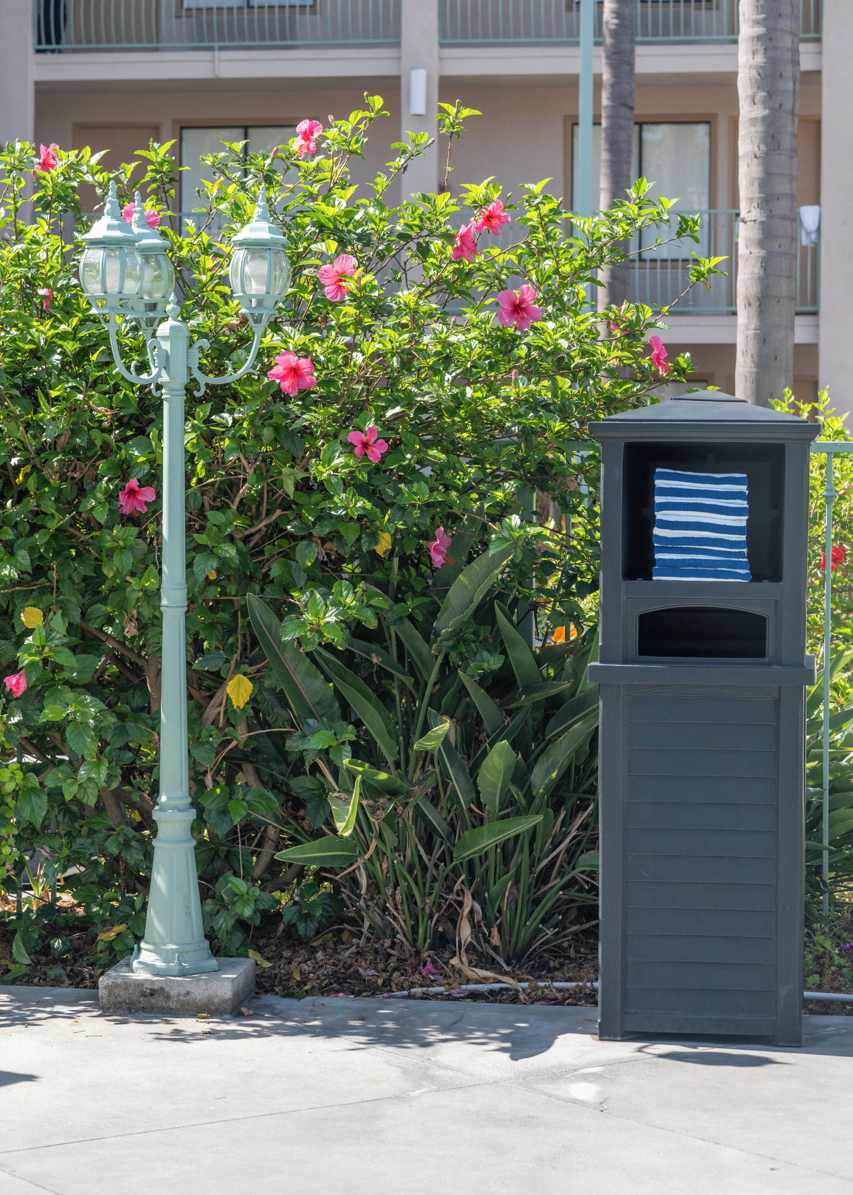 Photo - Cortona Inn & Suites Anaheim Resort